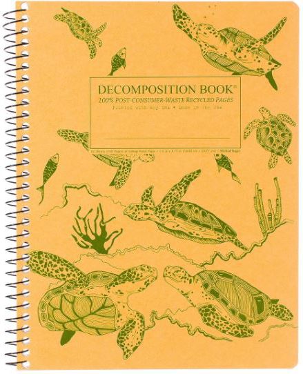 NTBK SEA TURTLES DECOMP LG